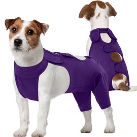 Kuoser Dog Recovery Suit After Surgery, Dog Post Surgery Body Suit with Legs, Comfortable Cone Alternative,Dog Surgery Recovery Suit Male Female, Prevent Licking Dog Onesies, Purple XS