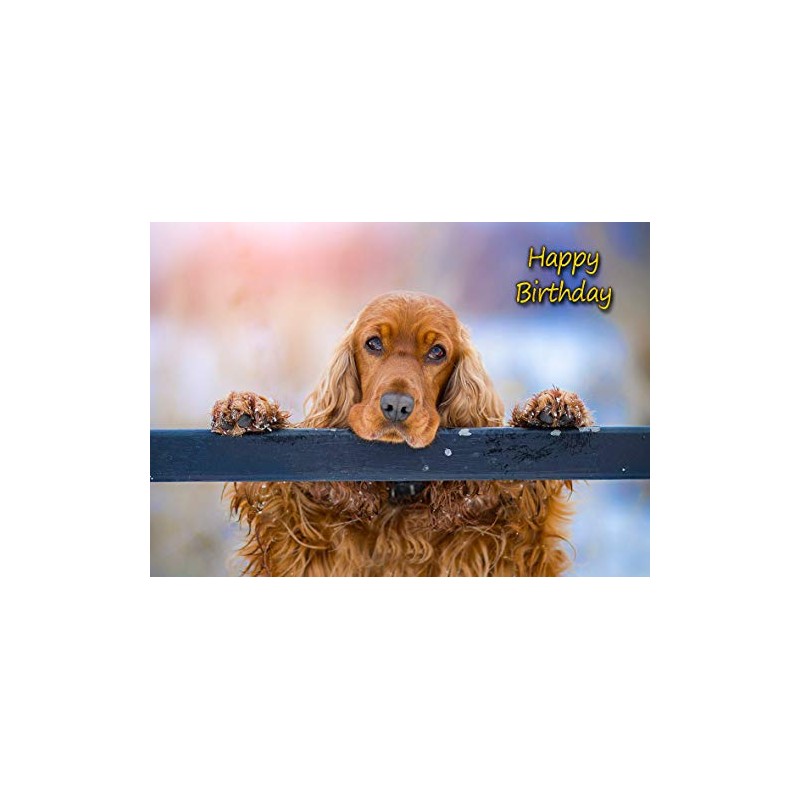 Cocker Spaniel Dog Birthday Card