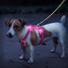 Domagiker Led Dog Harness Adjustable(Pink, S)