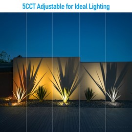 LEONLITE 5CCT LED Rock Lights Outdoor, 5W Low Voltage Landscape Spot Light for Garden, Yard, Decorative Stone Light, 12-24V AC/DC, CRI90, 200lm, IP65 Waterproof, Round, Dark Gray, Pack of 2