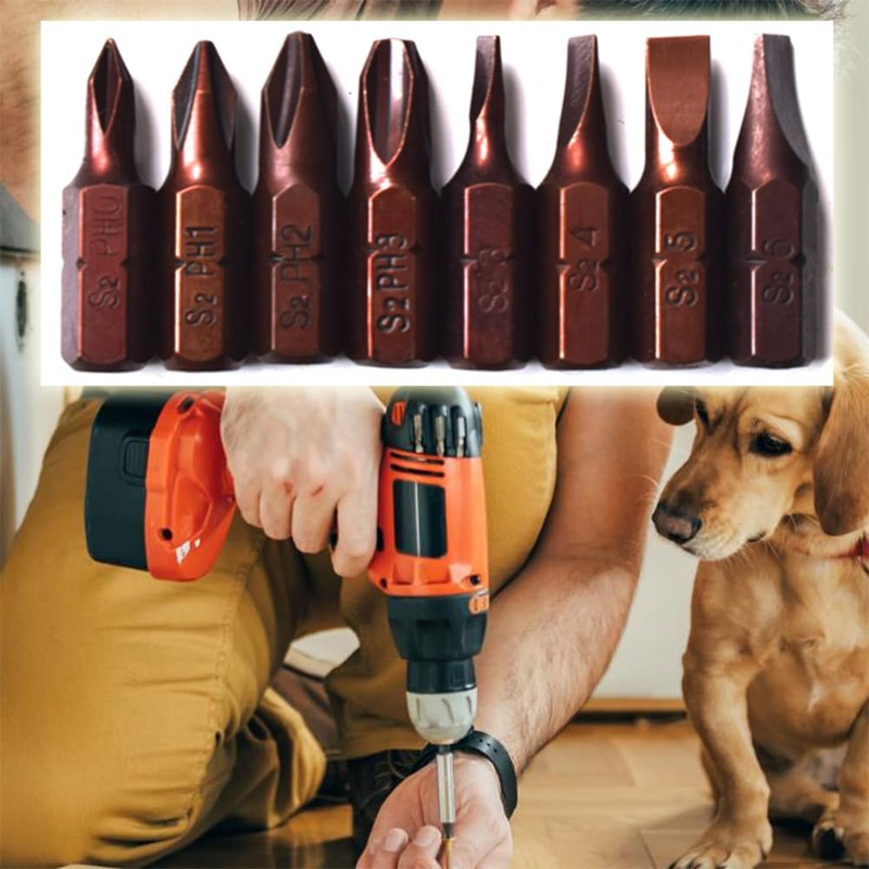 SKZIRI 8-Piece Phillips and Flat Bit Set includes PH0 PH1