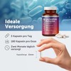 LINEAVI LactoBifido Komplex, 180 Kapseln, Komplex aus 21 Milchsäure-& Bifidokulturen,