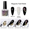 MEET ACROSS Cat Eye Nail Polish with 1 Magnet, Chameleon