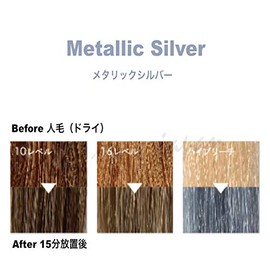 ANAP Color Treatment Pouch, 14.1 oz (400 g), Metallic Silver