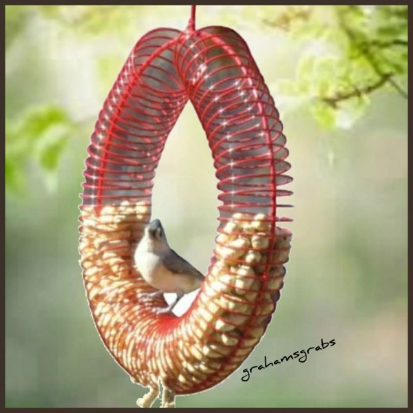 Songbird Essentials WHOLE PEANUT WREATH RING BIRD & SQUIRREL FEEDER