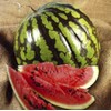 Seeds4planting - Seeds Watermelon Crimson Sweet Giant Heirloom Vegetable Non