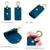 Agility affa Clevis Key Case, Smart Key, Carabiner, Sliding Type,