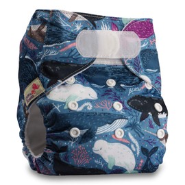Littles & Bloomz, Reusable Pocket Cloth Nappy, Fastener: Hook-Loop, Set of 1, Pattern 47, with 1 Bamboo Insert