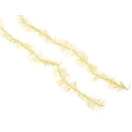 TIEMCO TMC Cactus Chenille 07 Yellow