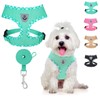 BINGPET Adjustable Dog Vest Harness and Leash Set,No Pull &