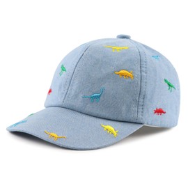 XIAOHAWANG Cotton Boys Baseball Hat Embroidery Dinosaur Toddler Boy Sun Hats Summer Kids Trucker Cap 2-5 Years (Sky Blue)