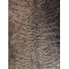 Karakul (Persian Lamb) Hide, Brown, Very Unique