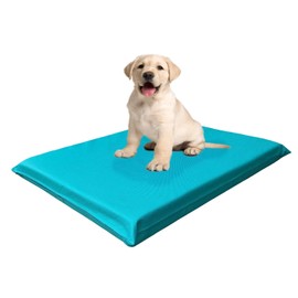 High Density Gel Infused Solid Pad Memory Foam Pet Dog Bed with Durable All Weather Waterproof External Cover Case (34"x27"x3", Blue)