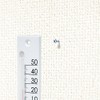 Shinwa Sokutei 48705 Petite Thermometer, Square, White, 4.7 inches (12