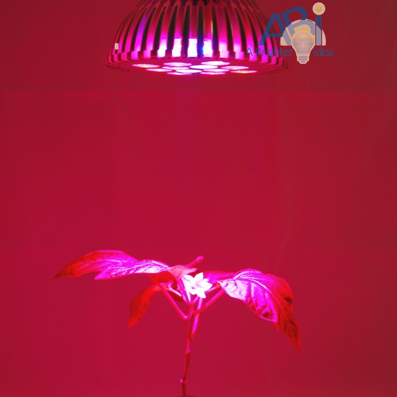ABI 12W LED PAR38 Grow Light Bulb for Veg and