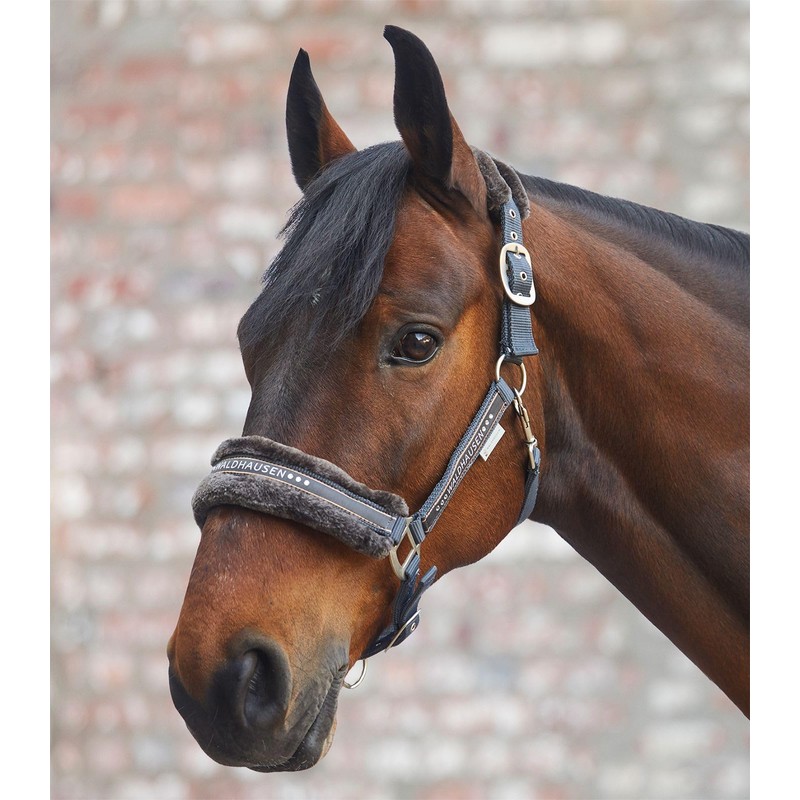 Waldhausen Elegant Headcollar Asphalt VB