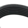 SKF VKMV 6PK1175 Multi-V belt