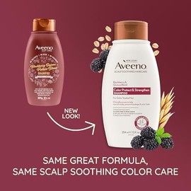 OGX Aveeno Color Protect Strengthen+ Blackberry Quinoa Champú, fresco, 12 onzas líquidas