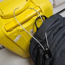 50cm Anti-theft Long Wire Lock