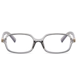 WDZAYXC Classic Rectangular Sunglasses Retro Slim Lenses Vintage Rectangle Sunglasses, Grey/anti-blue light