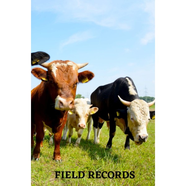 FIELD RECORDS: Simple Notebook with 55 Lined Pages Perfect for