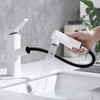 HANLIAN Single Hole Bathroom Pull Out Faucet with Rotating Spout,