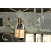 Abus 60028564 Brass Padlock