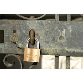 Abus 60028564 Brass Padlock