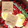 Christmas Stovetop Potpourri Simmer Instruction Cards | 30 Pack |