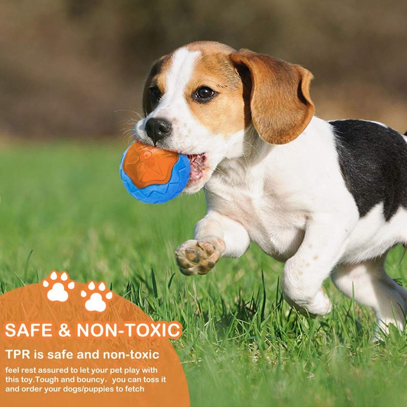 CoubonTail Dog Squeaky Toys, Pool & Beach Toys for Interactive