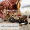 THE MASONRY | Isopod Terrarium Starter Kit | Roly Poly