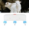 3 Head Small Animal Milk Feeder Piglet Baby Lamp Goat