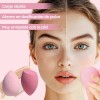Brochas De Maquillaje Profesional Kit 27 Pcs Con 18 Brochas