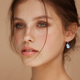 Sterling Silver Penguin Pig Wolf Fox Sloth French Bulldog Axolotl Stingray Cute Animal Jewelry Gifts for Women, Sterling Silver, Moonstone