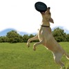 KONG Extreme Flyer - Dog Toy Supports Healthy Exercise -