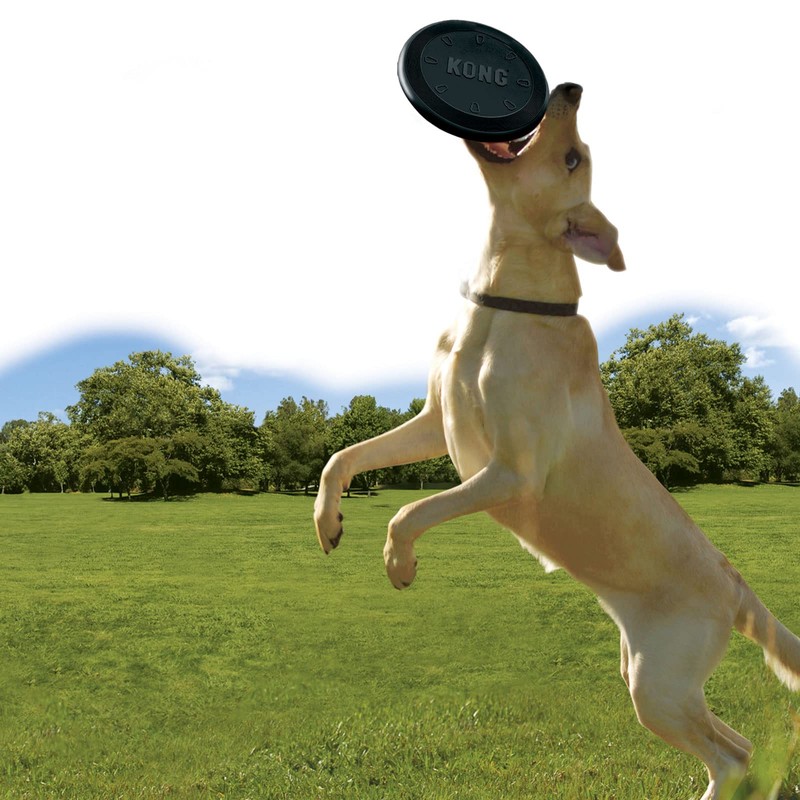 KONG Extreme Flyer - Dog Toy Supports Healthy Exercise -