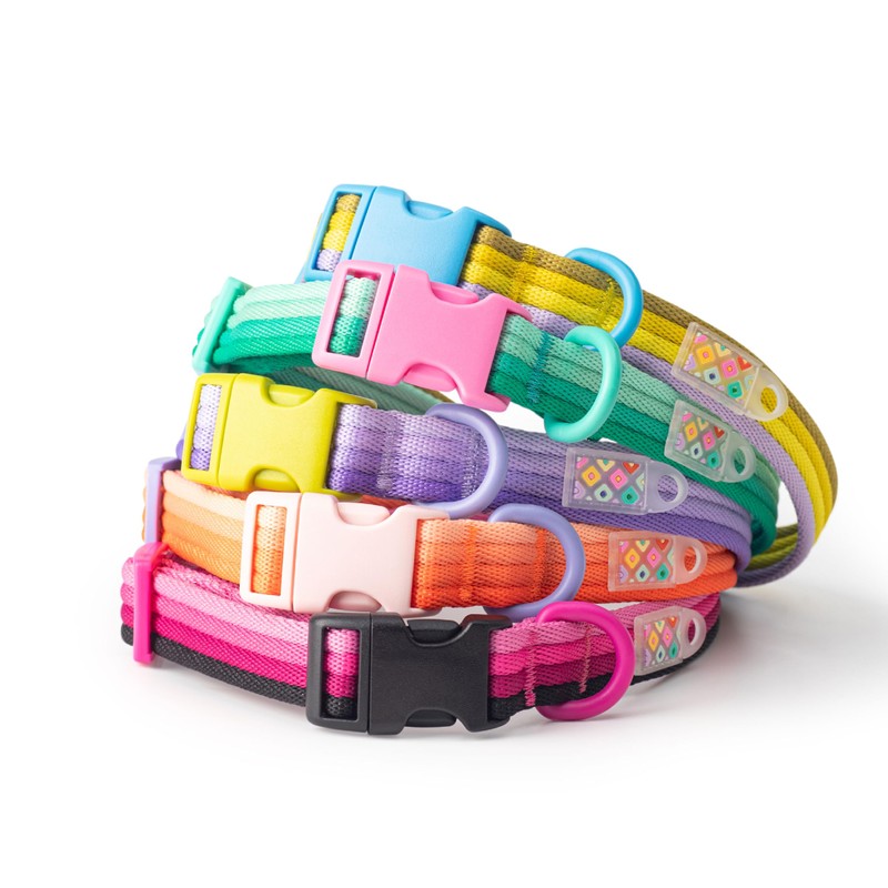 Dog Collar, Basic Collar for Dogs, Dog Collar, Training Collar