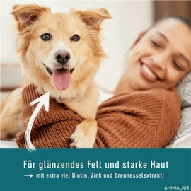Animalius | Haut & Fell BIOTIN Liquid 500 ml | Für Hunde, Mit Zink, Biotin, MSM | Bei Juckreiz, Haarausfall, Fellwechsel, für glänzendes und Starkes Fell
