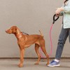 Slip Rope Dog Lead with Comfortable Padded Handle,1.5/2 m Reflective