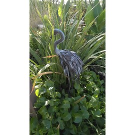 Unbranded Pennywort Many Stems !  Marginal, Pond  Plant &FREE Bog Plant