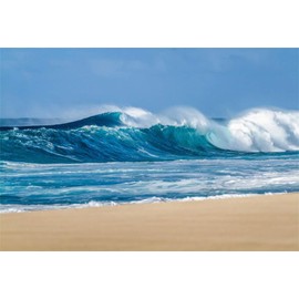 AOFOTO 10x7ft Hawaii Sea Shore Background Beach Ocean Waves Backdrop for Photography Nature Island Seascape Blue Water Wave Sand Seaside Landscape Vacation Photo Studio Props Vinyl