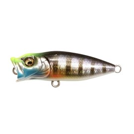 Baby POP X BFS GG Wild Gill