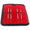 PRECISE CANADA: 4 PC Stainless Steel Pick/Probe Wax & Clay