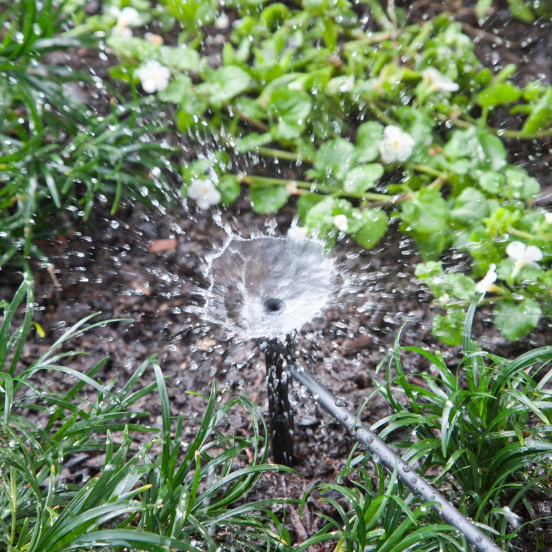 Raindrip R153CT Adjustable Flow Bubbler, Non-Pressure Compensating Emitter, Full-Circle Pattern,