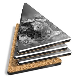4 x Triangle Coasters - BW - Adorable Hedgehog Garden Wildlife Cork Backed MDF Glossy Tea Coffee Accessory #41529