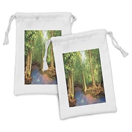 Ambesonne Rainforest Fabric Pouch Set of 2, Roots of Mangrove Trees Turquoise Creek Nature Wildlife Themed Print, Small Drawstring Bag for Toiletries Masks and Favors, 9" x 6", Green Brown