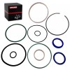 JINFANNIBI Hydraulic Log Splitter Cylinder Rebuild Seal Kit for 4.5"Bore