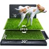 Hompet Dog Potty for Indoor or Porch, 2 Pcs Artificial