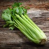 Celery Seeds - Golden Self Blanching - 4 Oz ~260,000