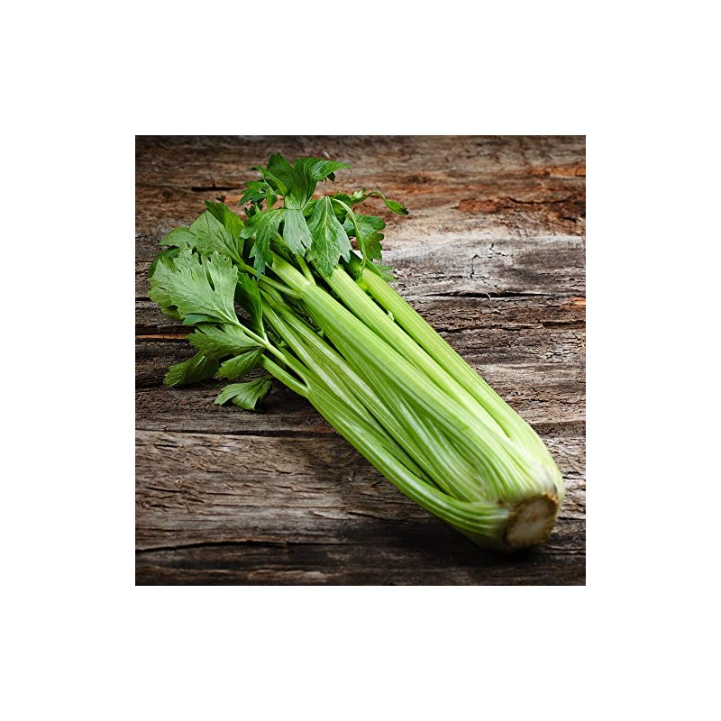 Celery Seeds - Golden Self Blanching - 4 Oz ~260,000
